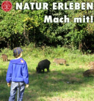 Inserat BZ