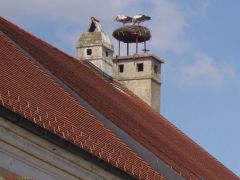 20090621_radausflug_pict0019