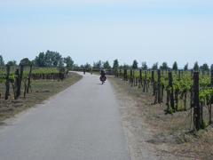 Neusiedler See