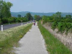 Neusiedler See