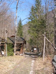 St. Georgen/Reith