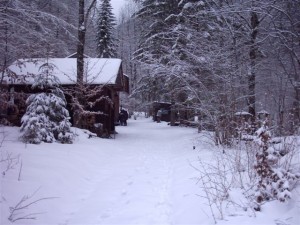 St. Georgen/Reith