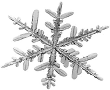 Schneekristall